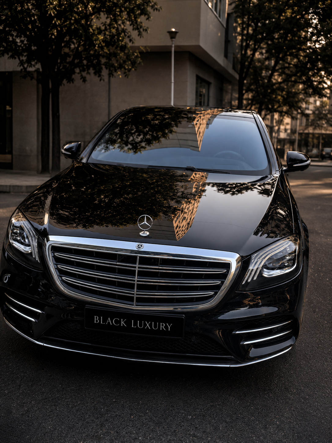 Mercedes-Benz Clasa S Black Luxury - vedere premium